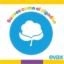 EVAX Cottonlike Protege Slips Normal Caja 50 Uds