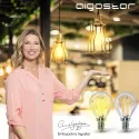 Bombilla de filamento LED G45 6W E27 - AIGOSTAR