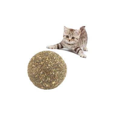 ▷ Snacks para Gatos: Golosinas Deliciosas y Saludables | BAZAR24